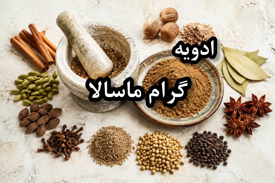 ادویه گرام ماسالا خارجی ترکیبات طرز تهیه و کاربرد
