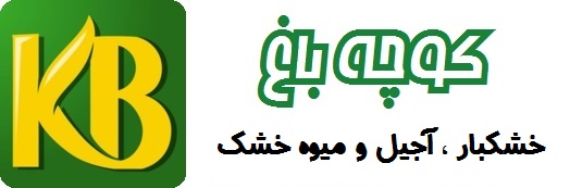 کوچه باغ تبریز