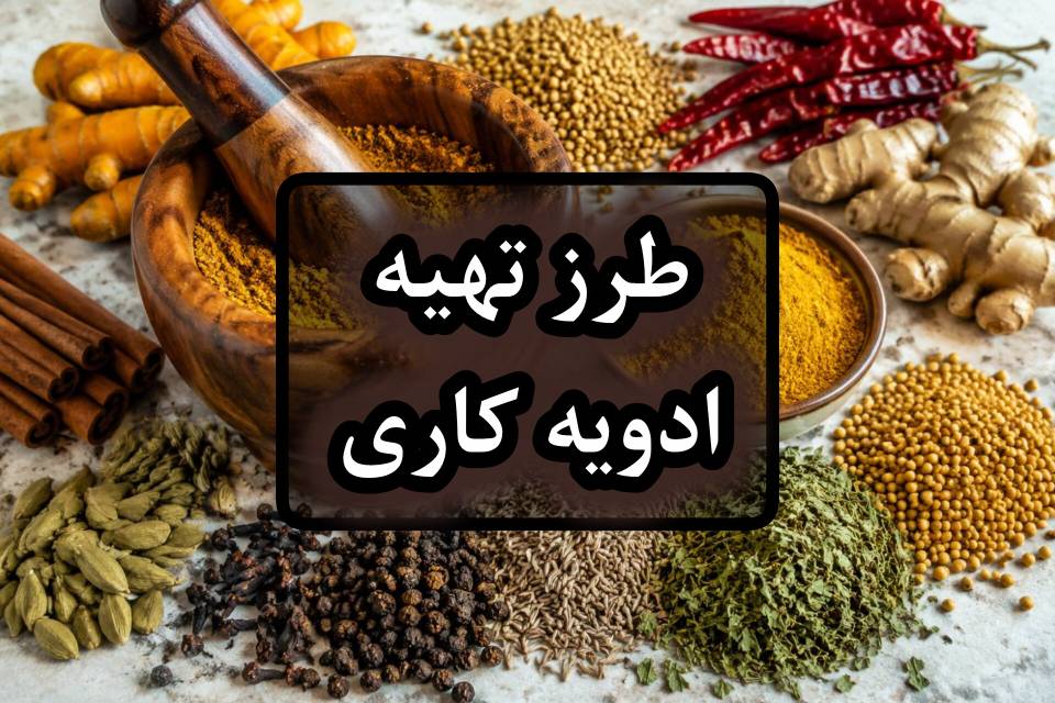 طرز تهیه ادویه کاری خانگی؛ فرمول‌های ایرانی و جهانی، کاربردها و روش مصرف