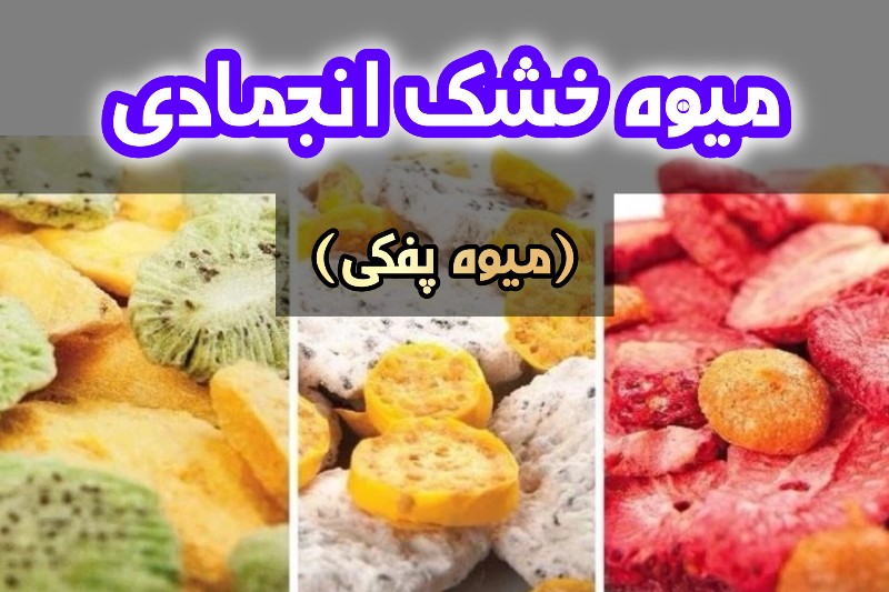 میوه خشک انجمادی (Freeze Drying) یا تصعیدی با استفاده از دستگاه فریز درایر