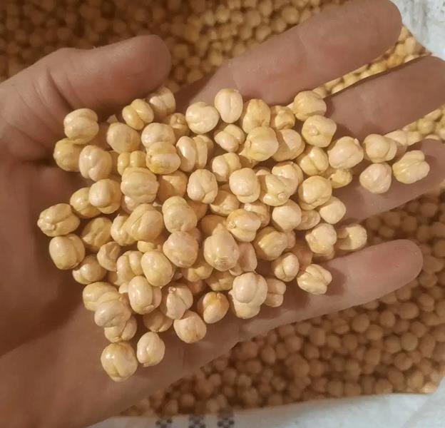 نخودچی ( فروش عمده )