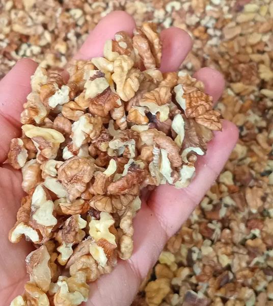 مغز گردو دندانه معمولی ایرانی ( عمده فروشی )