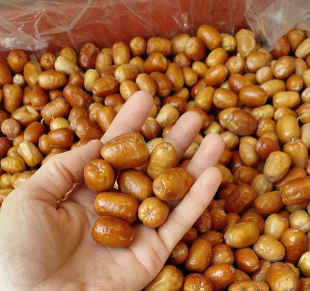 سنجد حاج حسینی (عمده فروشی )