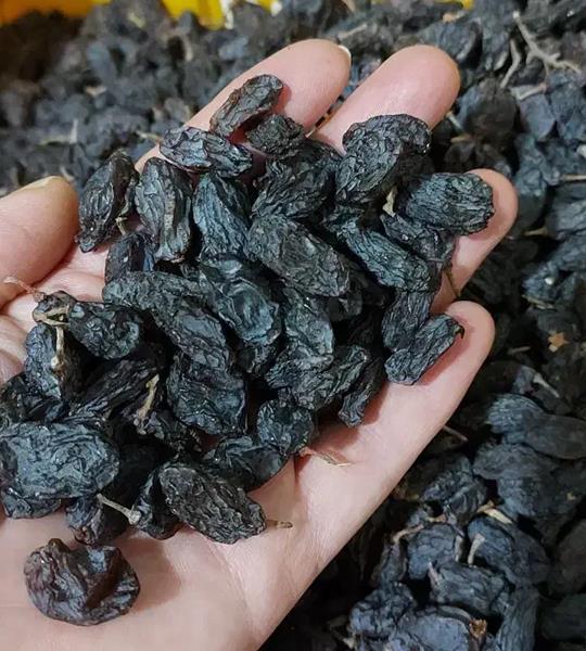 کشمش فخری ( فروش عمده )